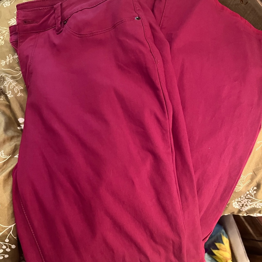 Vibrant Magenta  Pants
